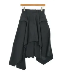 sacai ひざ丈スカート レディース 【古着】【中古】【送料無料】のサムネイル