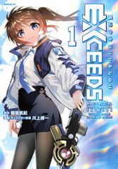 レア！ 非売品！ 魔法少女リリカルなのは EXCEEDS ポスターセット