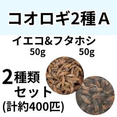 送料無料 冷凍フタホシML〜L400グラム 冷凍コオロギ - メルカリ