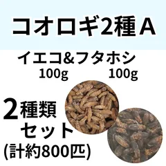 [프로즌 베이트] 집귀뚜라미&후타호시 귀뚜라미 L사이즈 200g (약800마리), 파충류, 양서류, 먹이, 어류, 포유류, 표범, 도마뱀, 꼬리, 도마뱀, 도마뱀, 도마뱀, 도마뱀, 도마뱀, 도마뱀, 도마뱀, 도마뱀, 도마뱀, 도마뱀, 도마뱀, 도마뱀, 도마뱀, 도마뱀, 도마뱀, 도마뱀, 도마뱀, 도마뱀, 도마뱀, 도마뱀, 도마뱀, 도마뱀, 도마뱀, 도마뱀, 도마뱀, 도마뱀