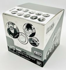 ポケパーク カントー 限定 ブイブイヴォヤージュ アクリルキーホルダー