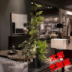 光触媒 人工観葉植物 ウォールグリーン フェイクグリーン シーグレープ