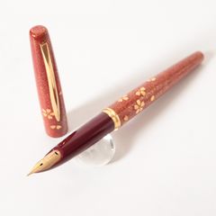 220 オーバーホール済み 万年筆 パイロット PILOT C 全格子 18k - メルカリ