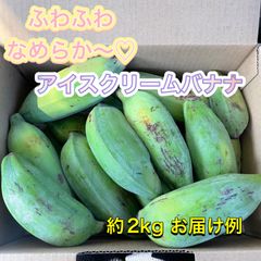 新鮮青パパイヤ箱込み2キロ - メルカリ