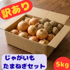 九州産 訳あり野菜詰め合わせ 5kg 常備野菜セット じゃがいも 玉ねぎ  送料無料のサムネイル