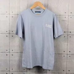 ​Hula Lani Hawaii   フララニハワイ　刺繍ロゴ　Tシャツ　Mサイズ　ブルーグレーのサムネイル