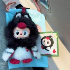 SWIMMER 赤ずきん ぬいぐるみ 着せ替えセット - メルカリ