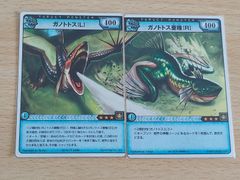 aca609 가노토토스 가노토토스 변종 LR 몬스터 헌터 MHC HC 사냥 카드 Rare 레어 카드