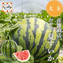 ぞうさん様専用】小玉スイカ1玉 黄色果肉 - メルカリ