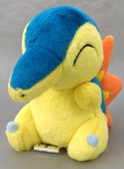一番くじ ポケモン 30th D賞 ジョウト地方 ぬいぐるみ ヒノアラシ