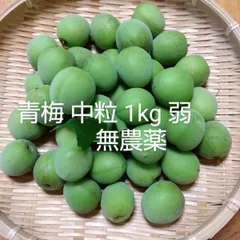 青梅中粒　1キロ弱（梅酒　梅シロップ　カリカリ梅等）のサムネイル