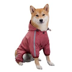 KITH × wagwear ドッグレインコート イエロー L 試着のみ 犬用 - メルカリ