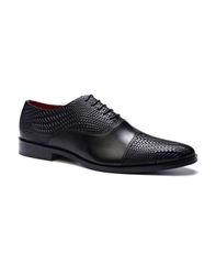 카를로스 산타나 남성 신발 옥스포드 캡 Carlos by Carlosantana Mens Arlo Cap Toe Oxford Shoe Black 블랙
