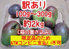 摘果マンゴー 未熟マンゴー 加工用マンゴー グリーン/ 約2㎏ （ 2キロ