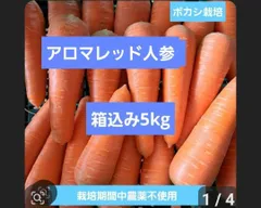 ボカシ栽培の栽培期間中農薬不使用アロマレッド人参箱込み5kgのサムネイル