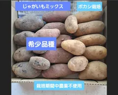 ボカシ栽培の栽培期間中農薬不使用新じゃがいもミックスのサムネイル