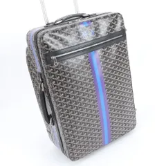 美品 ゴヤール トロリー レザー スーツケース キャリーケース バッグ 出張 旅行 トランク ブランド メンズ RWM DY42-1【中古】のサムネイル