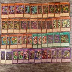 Ｅ18　遊戯王　捕食植物　デッキ　パーツ