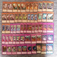 Ｅ19　遊戯王　蠱惑魔　蟲惑魔　デッキ　パーツ