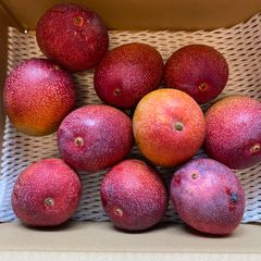 訳あり特大宮崎完熟マンゴー 6玉約3.1kg - メルカリ