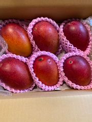 特大6玉約3.2kg】宮崎完熟マンゴー 訳あり新品- メルカリ