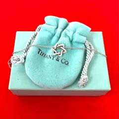 極 美品 箱 袋付き TIFFANY&Co. ティファニー ヴィンテージ スター オブ ダビデ ネックレス シルバー925 アクセサリー シルバー 77694のサムネイル