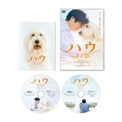 ヘリウッド 廃盤DVD 【見本品】 - メルカリ