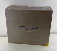 未使用 ニンテンドーDS ホットサマーキャンペーン ドンキーコング 本体 