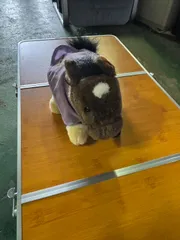 在庫処分！！！！【AVANTI製】ディープインパクト 競馬 ぬいぐるみ 競走馬 三冠馬 [277]のサムネイル