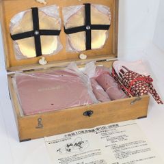 攻殻機動隊 SAC_2045 草薙素子 士郎正宗 キャンバスアート F6サイズ