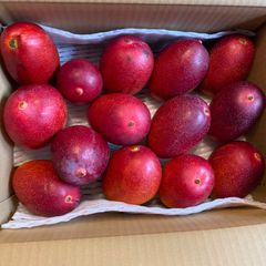 訳あり特大宮崎完熟マンゴー 6玉約3.1kg - メルカリ