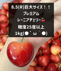 8.5R レーニアチェリー1kg ワシントン産 さくらんぼ - メルカリ