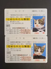 なめ猫 免許証 2枚セット ゴールド免許 みけ子 ドラ吉 【E5134-001】■17のサムネイル