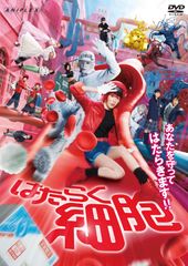 DVD】はたらく細胞 一期 全巻セット + 特別編1枚 - メルカリ