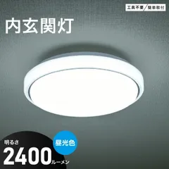 【新品】オーム電機 LED内玄関灯 昼光色｜LT-Y18D-GB 06-5569のサムネイル