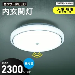 【新品】オーム電機 LED内玄関灯 昼光色｜LT-Y18D-GB-PIR 06-5570のサムネイル