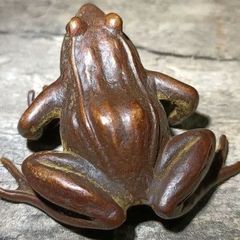 カエル 蛙 銅製 ブロンズ像 骨董 置物 インテリア 工芸品 美術品 A3392