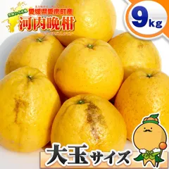 【愛媛県産】河内晩柑 （かわちばんかん） 大玉 約9kg 愛南町産 ご家庭用 訳あり 3L～5Lサイズ混合 9キロ【本場！愛南町産！樹齢20年以上の抜群の樹から成る黄金の果実】のサムネイル