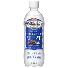 キリン 世界のKitchenから ソルティライチソーダ 500mlペットボトル×24本入×(2ケース)| 送料無料 果実飲料 ライチ 熱中対策 塩分 補給 水分補給 ストック ドリンク ジュース 野菜ジュース 果汁 ケース買い まとめ買い 業者 仕入れ 大量のサムネイル