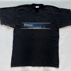 90s USA製ヴィンテージ シングルステッチ ボルケーノ 火山 両面Tシャツ