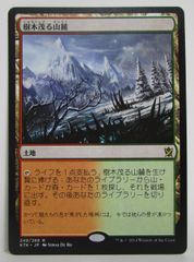 MTG 樹木茂る山麓 日本語 1枚 - メルカリ