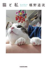 고양이와 나