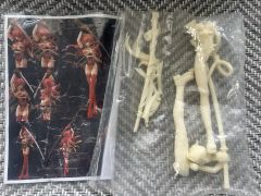 ⭐︎そら⭐︎様専用立体の切断模型 ①②③④⑤⑥⑦⑧⑨⑩セット - メルカリ