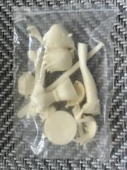 ⭐︎そら⭐︎様専用立体の切断模型 ①②③④⑤⑥⑦⑧⑨⑩セット - メルカリ
