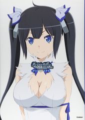 ダンジョンに出会いを求めるのは間違っているだろうかⅣアニメイト特典