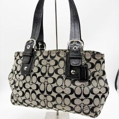 コーチ COACH ハンドバッグ シグネチャー タッセル レザー 美品✨ コーチ ハンドバッグ シグネチャー パイソン タッセル 肩掛け