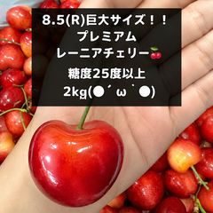 超希少8.5Rレーニアチェリー 高級チェリー食べ比べセット 2kg さくらんぼ 超希少8.5Rレーニアチェリー 高級チェリー食べ比べセット 2kg