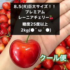 超希少8.5Rレーニアチェリー 高級チェリー食べ比べセット 2kg
