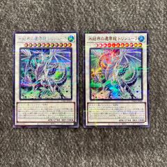 ヴァイスシュヴァルツ ブルーアーカイブ ブルアカ 伊落マリー(体操服