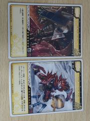aca619 몬스터 헌터 헌팅 카드 정리 HUNTER 봉룡 창 [허공] 제사자 하루 아라시 노조 2장 02-49/77 02-40/77 캡콤 TCG